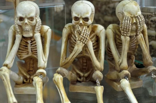 Group of skeletons