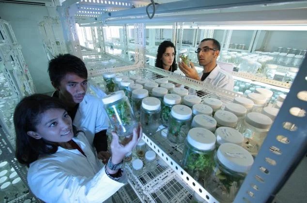 Science team in a laboratory