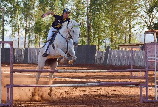 Horse jumping