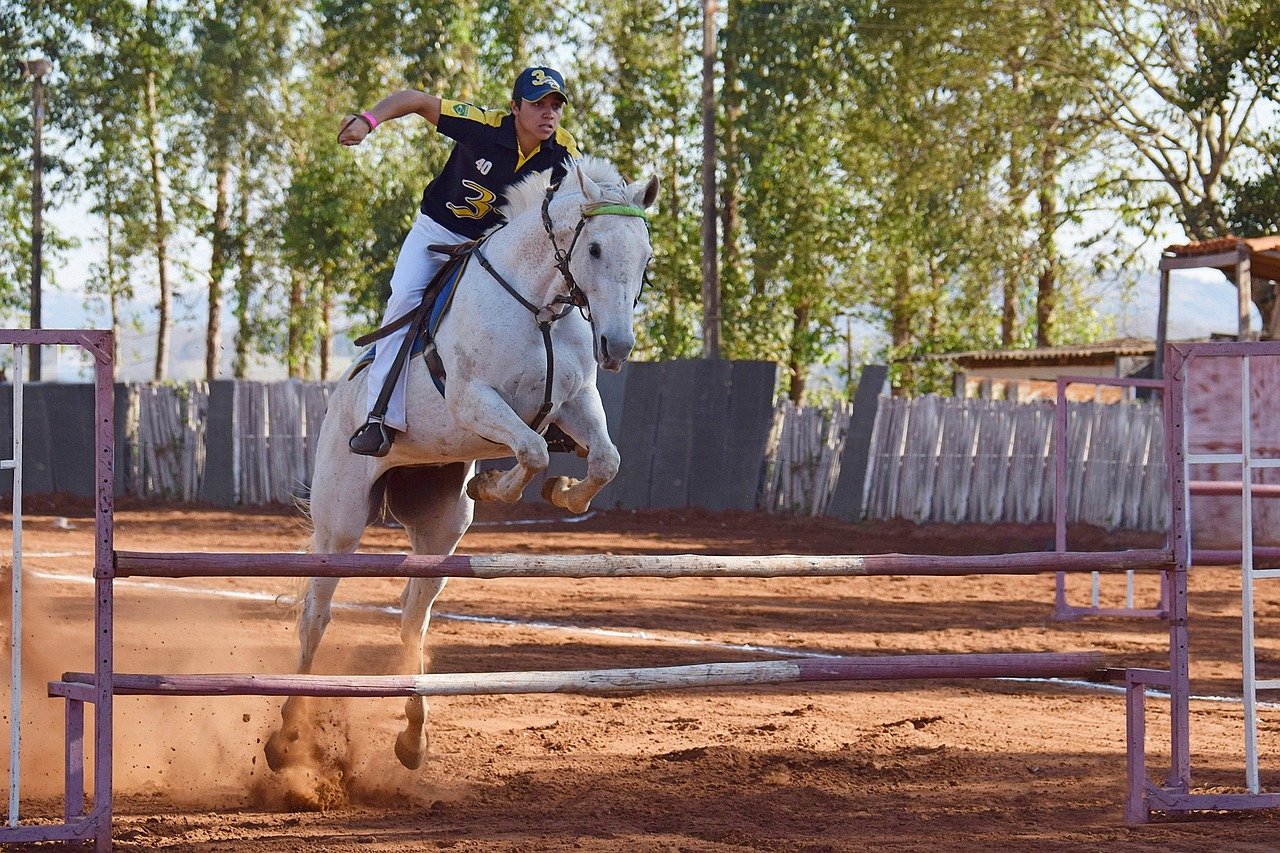 Horse jumping