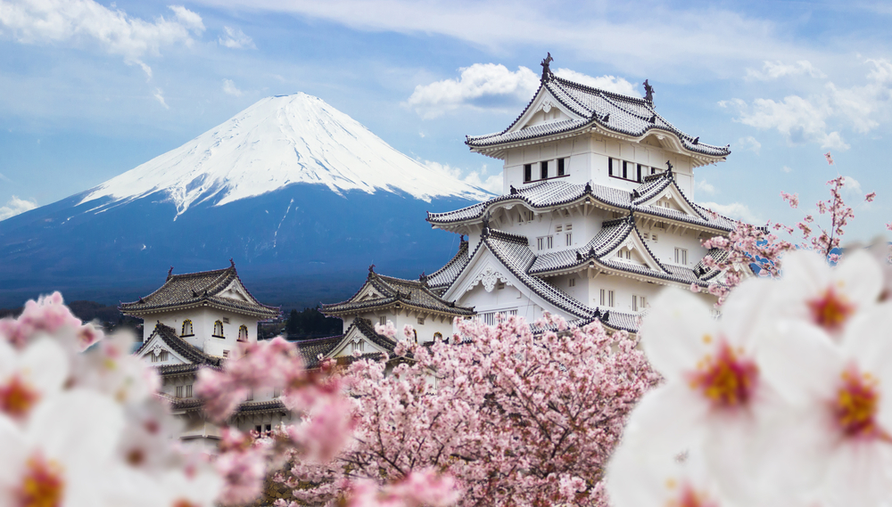 Traditional Japanese building behind cherry blossom trees